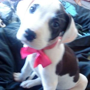 Meet your Posher, Kathleen